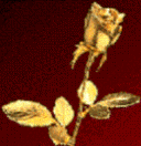 The image http://lovecenter.bravehost.com/images/goldenrose.gif cannot be displayed, because it contains errors.